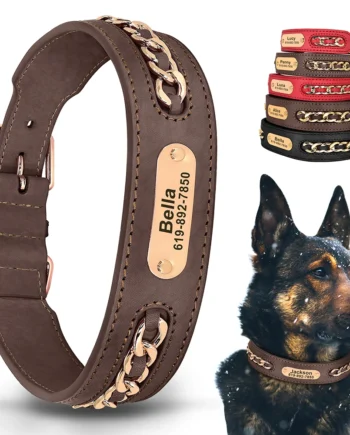 Personalized ID Tag Nameplate Collars