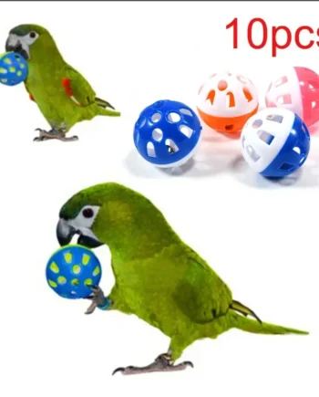 10pcs Bird Toy Set